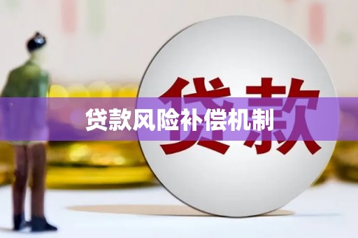 于洪贷款风险补偿机制