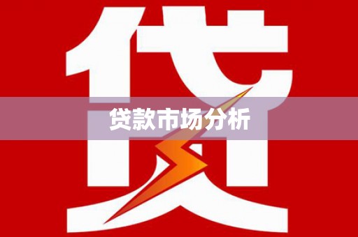 于洪贷款市场分析