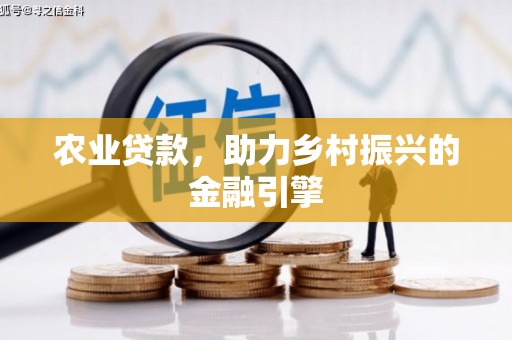 于洪农业贷款，助力乡村振兴的金融引擎