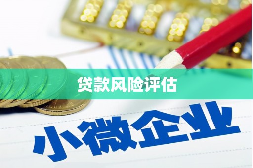 于洪贷款风险评估