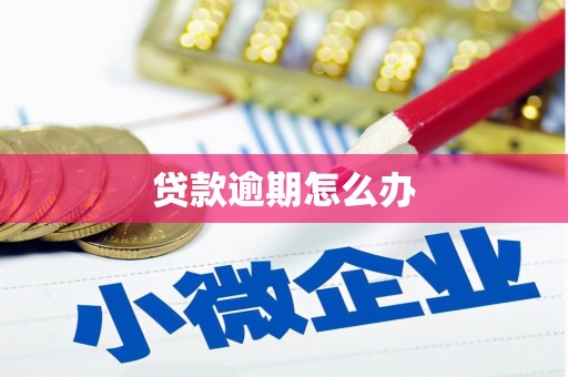 于洪贷款逾期怎么办