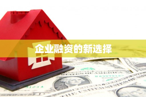 于洪企业融资的新选择