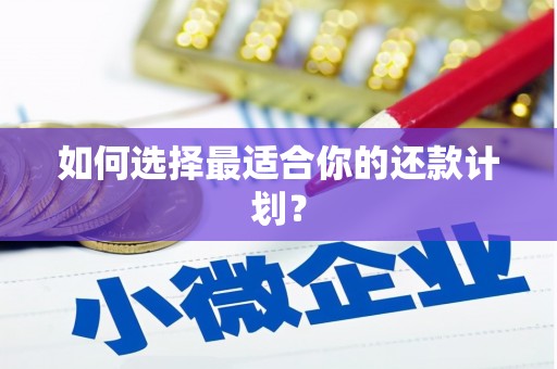 于洪如何选择最适合你的还款计划？