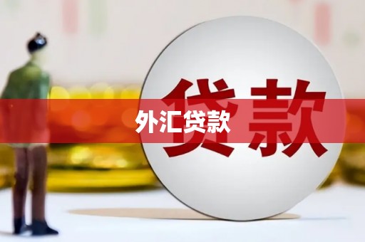 于洪外汇贷款