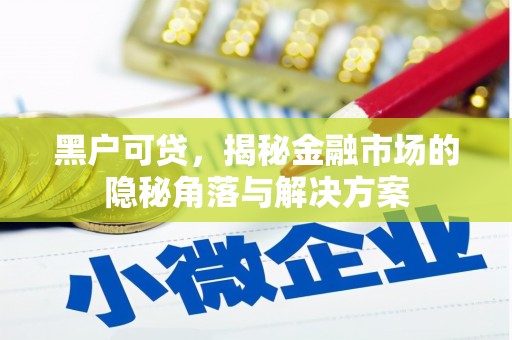 于洪黑户可贷，揭秘金融市场的隐秘角落与解决方案