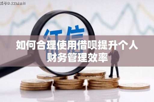 于洪如何合理使用借呗提升个人财务管理效率