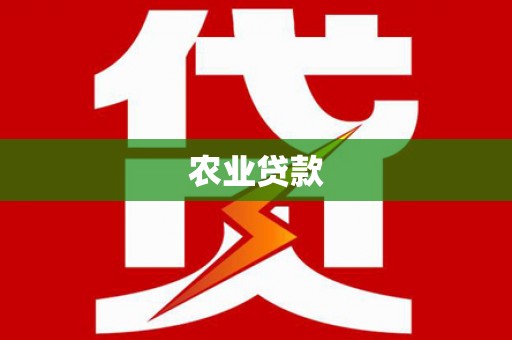 于洪农业贷款