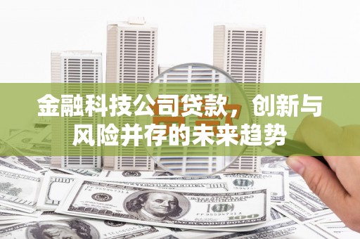 于洪金融科技公司贷款，创新与风险并存的未来趋势