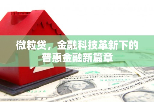 于洪微粒贷，金融科技革新下的普惠金融新篇章