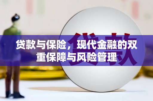 于洪贷款与保险，现代金融的双重保障与风险管理
