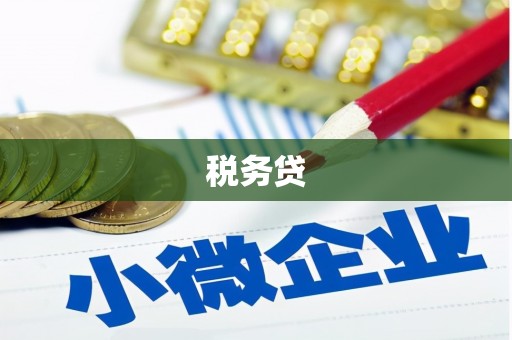 于洪税务贷
