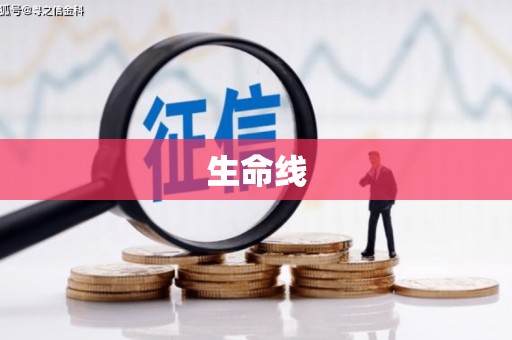 于洪生命线