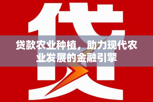 于洪贷款农业种植，助力现代农业发展的金融引擎