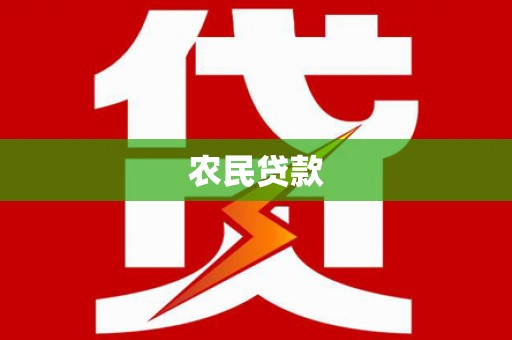 于洪农民贷款