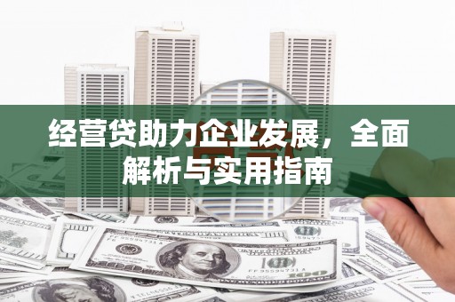 于洪经营贷助力企业发展，全面解析与实用指南