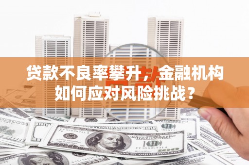 于洪贷款不良率攀升，金融机构如何应对风险挑战？