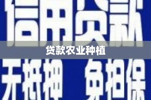 于洪贷款农业种植