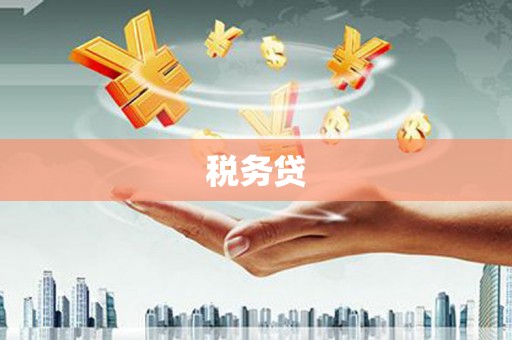 于洪税务贷