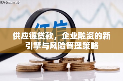 于洪供应链贷款，企业融资的新引擎与风险管理策略