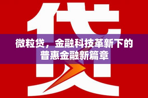 于洪微粒贷，金融科技革新下的普惠金融新篇章