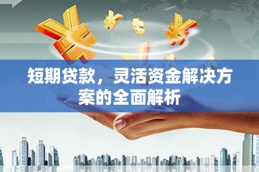 于洪短期贷款，灵活资金解决方案的全面解析