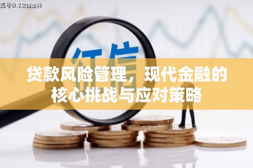于洪贷款风险管理，现代金融的核心挑战与应对策略