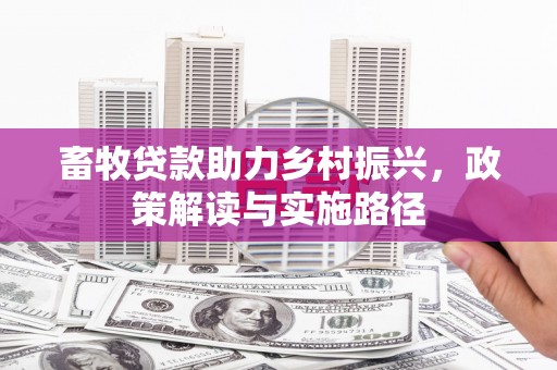 于洪畜牧贷款助力乡村振兴，政策解读与实施路径