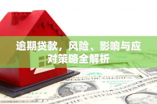 于洪逾期贷款，风险、影响与应对策略全解析