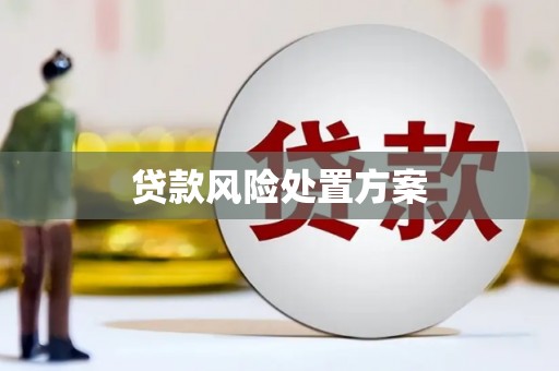 于洪贷款风险处置方案