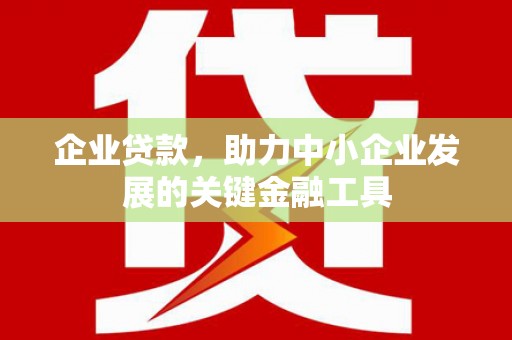 于洪企业贷款，助力中小企业发展的关键金融工具