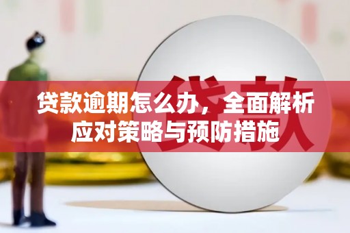 于洪贷款逾期怎么办，全面解析应对策略与预防措施