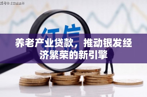 于洪养老产业贷款，推动银发经济繁荣的新引擎
