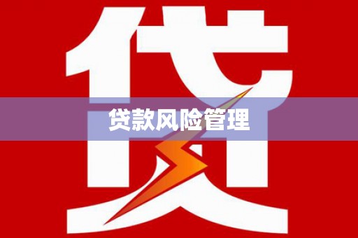 于洪贷款风险管理