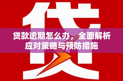 于洪贷款逾期怎么办，全面解析应对策略与预防措施