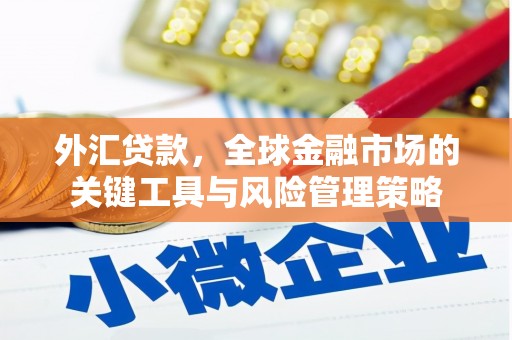 于洪外汇贷款，全球金融市场的关键工具与风险管理策略