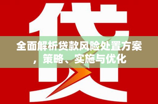 于洪全面解析贷款风险处置方案，策略、实施与优化