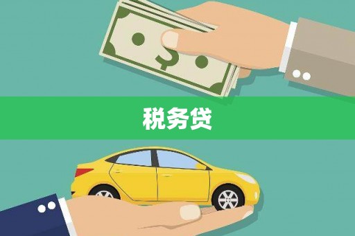 于洪税务贷