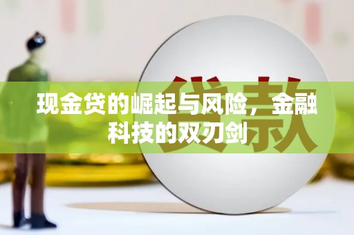 于洪现金贷的崛起与风险，金融科技的双刃剑