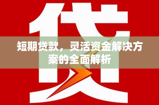 于洪短期贷款，灵活资金解决方案的全面解析