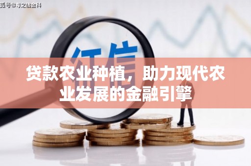 于洪贷款农业种植，助力现代农业发展的金融引擎