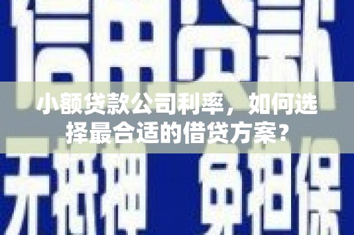 于洪小额贷款公司利率，如何选择最合适的借贷方案？