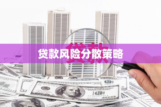 于洪贷款风险分散策略