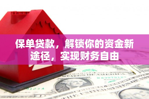 于洪保单贷款，解锁你的资金新途径，实现财务自由