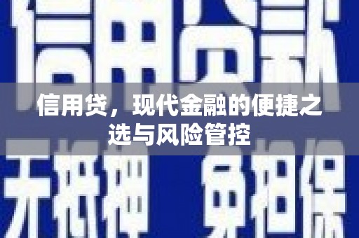 于洪信用贷，现代金融的便捷之选与风险管控