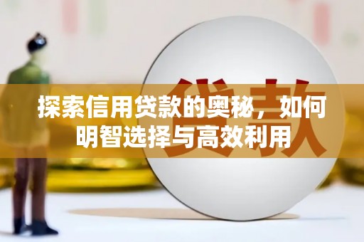 于洪探索信用贷款的奥秘，如何明智选择与高效利用