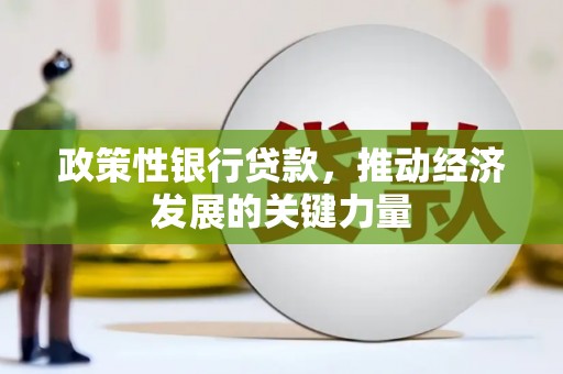 于洪政策性银行贷款，推动经济发展的关键力量