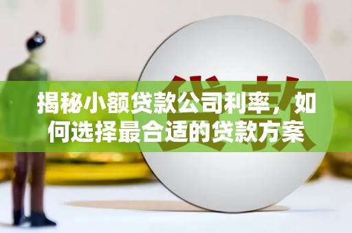 于洪揭秘小额贷款公司利率，如何选择最合适的贷款方案