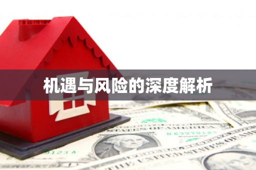 于洪机遇与风险的深度解析