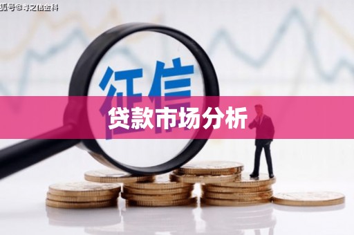 于洪贷款市场分析