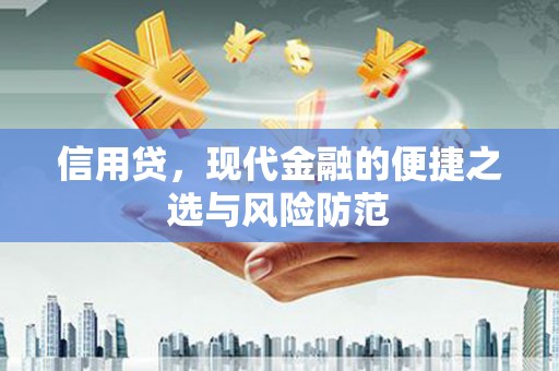 于洪信用贷，现代金融的便捷之选与风险防范